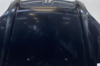 Capot HYUNDAI TUCSON 1 Photo n°1