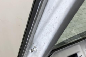 Malle/Hayon arriere AUDI A3 2