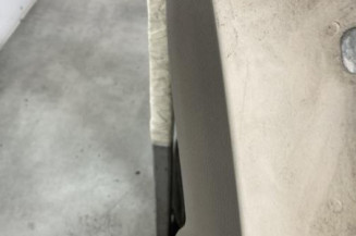 Porte arriere gauche RENAULT CLIO 3