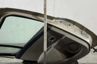 Porte arriere gauche RENAULT CLIO 3