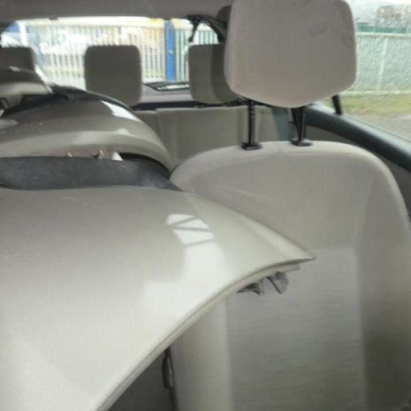Porte arriere gauche RENAULT CLIO 3 Photo n°13