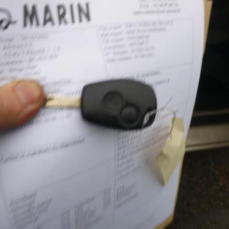 Porte arriere gauche RENAULT CLIO 3 Photo n°14