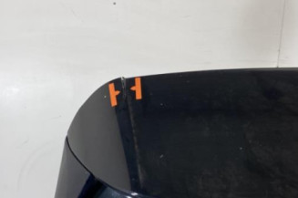 Malle/Hayon arriere CITROEN C4 PICASSO 2