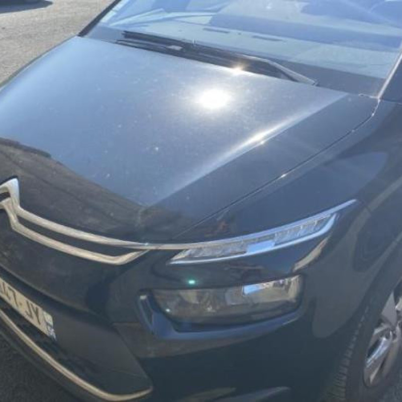 Jante CITROEN C4 PICASSO 2 Photo n°11