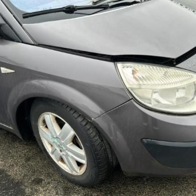 Pedalier d'accelerateur RENAULT GRAND SCENIC 2 Photo n°4