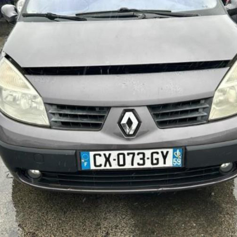 Pedalier d'accelerateur RENAULT GRAND SCENIC 2 Photo n°5