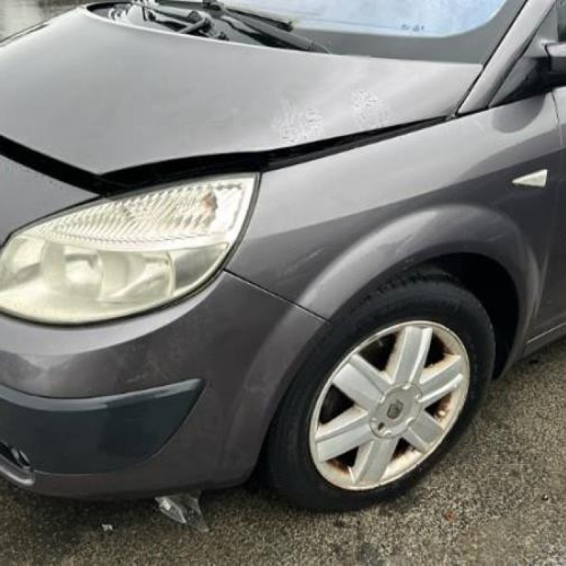 Pedalier d'accelerateur RENAULT GRAND SCENIC 2 Photo n°6