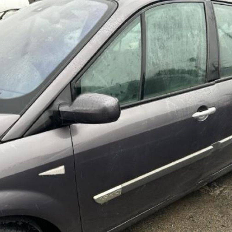 Pedalier d'accelerateur RENAULT GRAND SCENIC 2 Photo n°7