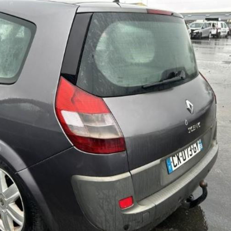 Pedalier d'accelerateur RENAULT GRAND SCENIC 2 Photo n°9