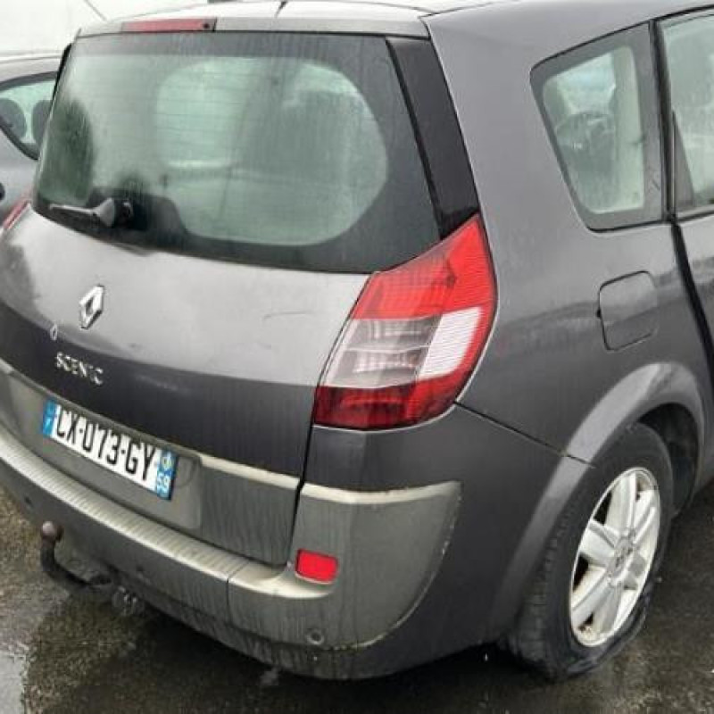 Pedalier d'accelerateur RENAULT GRAND SCENIC 2 Photo n°10