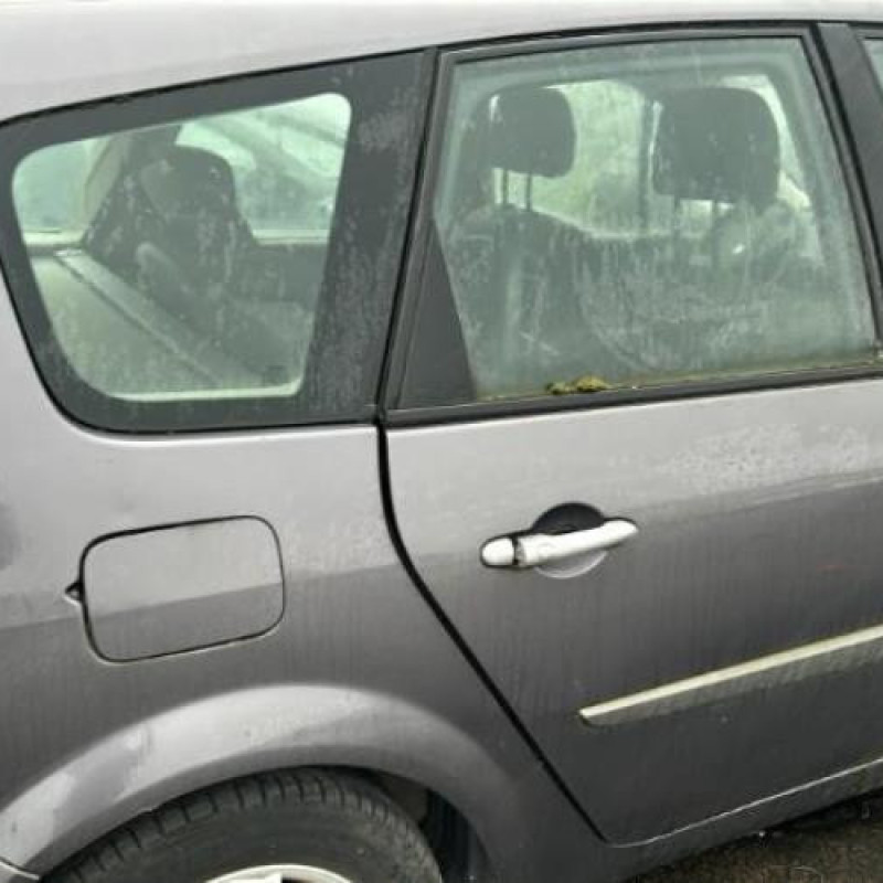 Pedalier d'accelerateur RENAULT GRAND SCENIC 2 Photo n°11