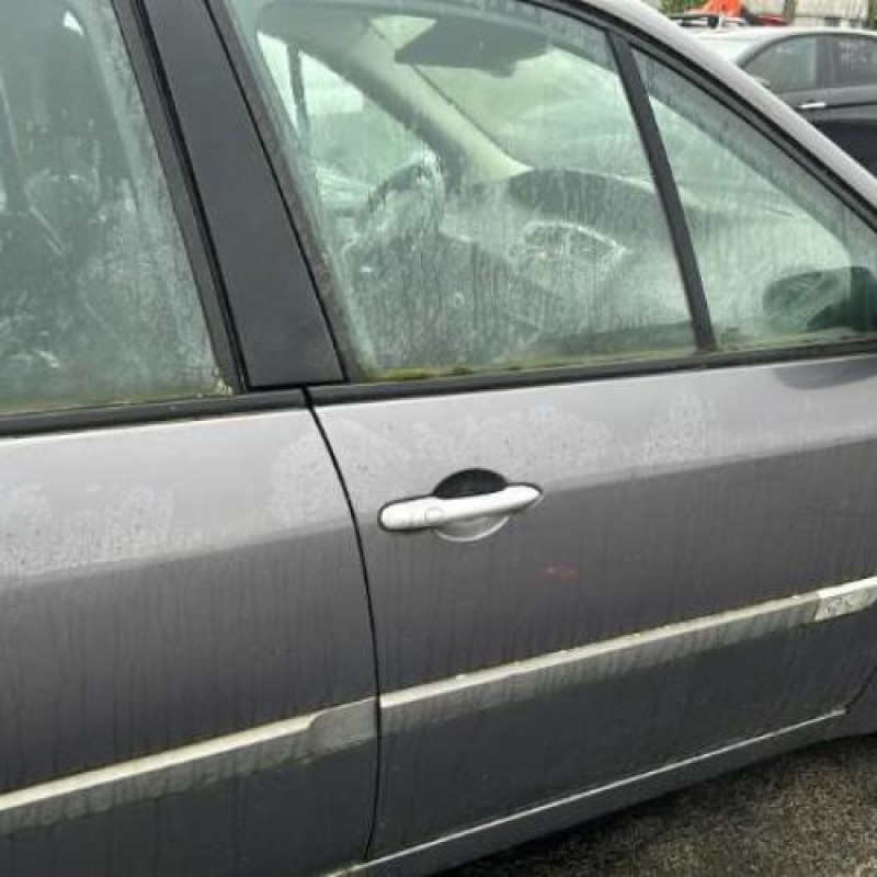 Pedalier d'accelerateur RENAULT GRAND SCENIC 2 Photo n°12