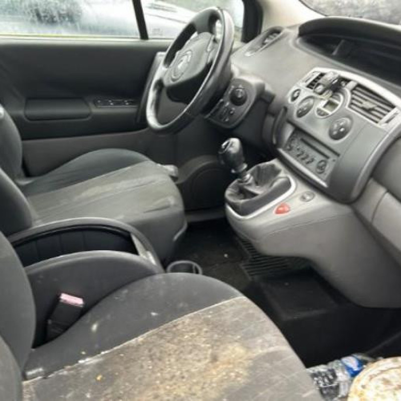 Pedalier d'accelerateur RENAULT GRAND SCENIC 2 Photo n°13
