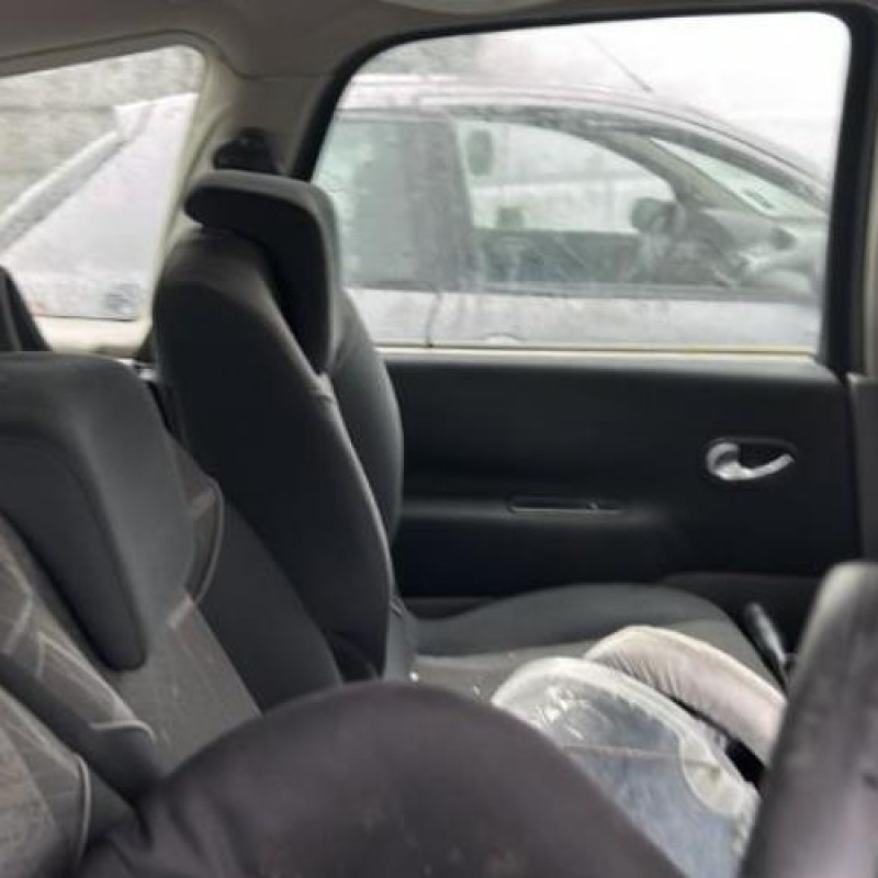 Pedalier d'accelerateur RENAULT GRAND SCENIC 2 Photo n°14