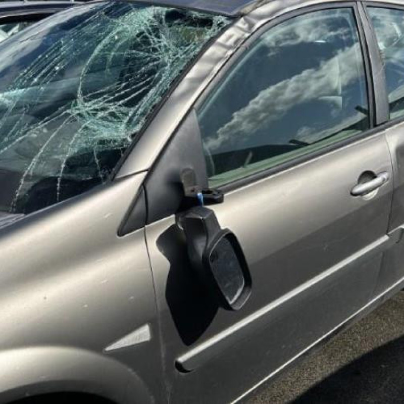 Boite de vitesses RENAULT MEGANE 2 Photo n°8