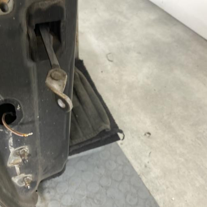 Porte avant droit DACIA SANDERO 1 Photo n°4