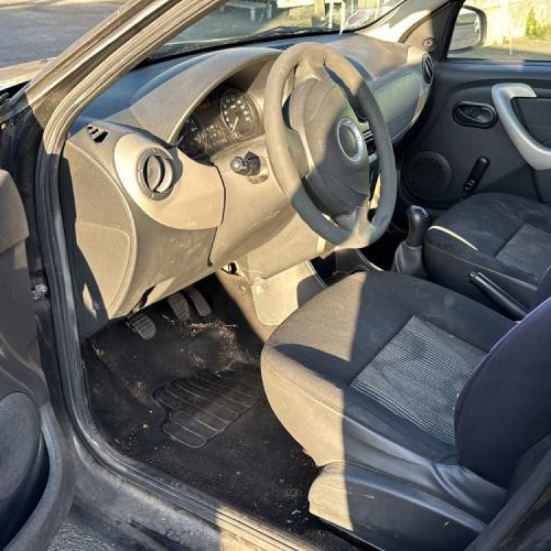 Porte avant droit DACIA SANDERO 1 Photo n°15