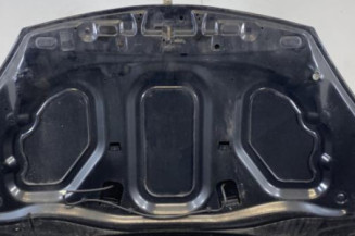 Capot DACIA SANDERO 1