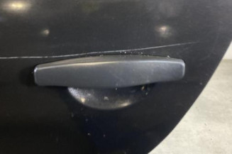 Porte arriere gauche DACIA SANDERO 1