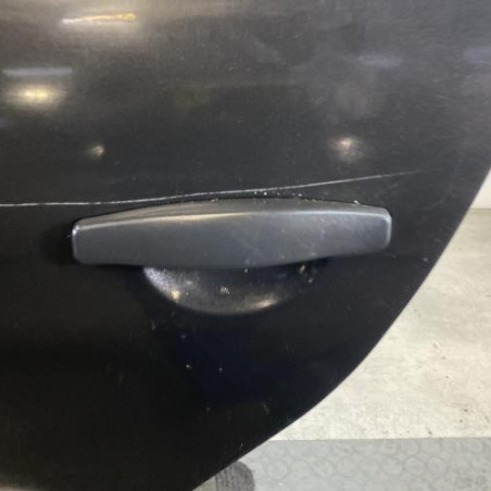 Porte arriere gauche DACIA SANDERO 1