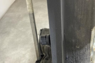 Porte arriere gauche DACIA SANDERO 1