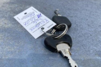 Calandre PEUGEOT 306