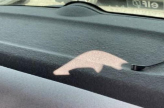 Porte arriere droit RENAULT CLIO 2