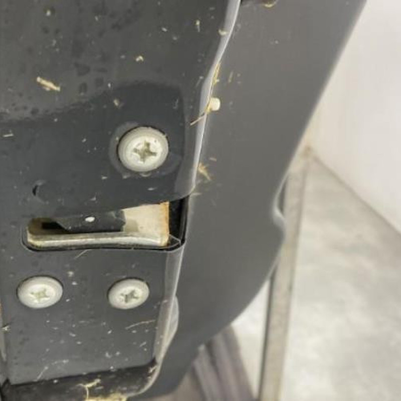 Porte arriere gauche SUZUKI ALTO 3 Photo n°3