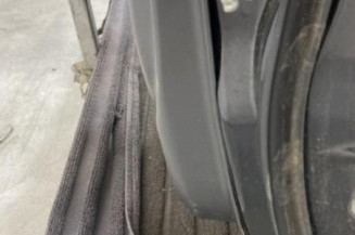 Porte arriere gauche SUZUKI ALTO 3