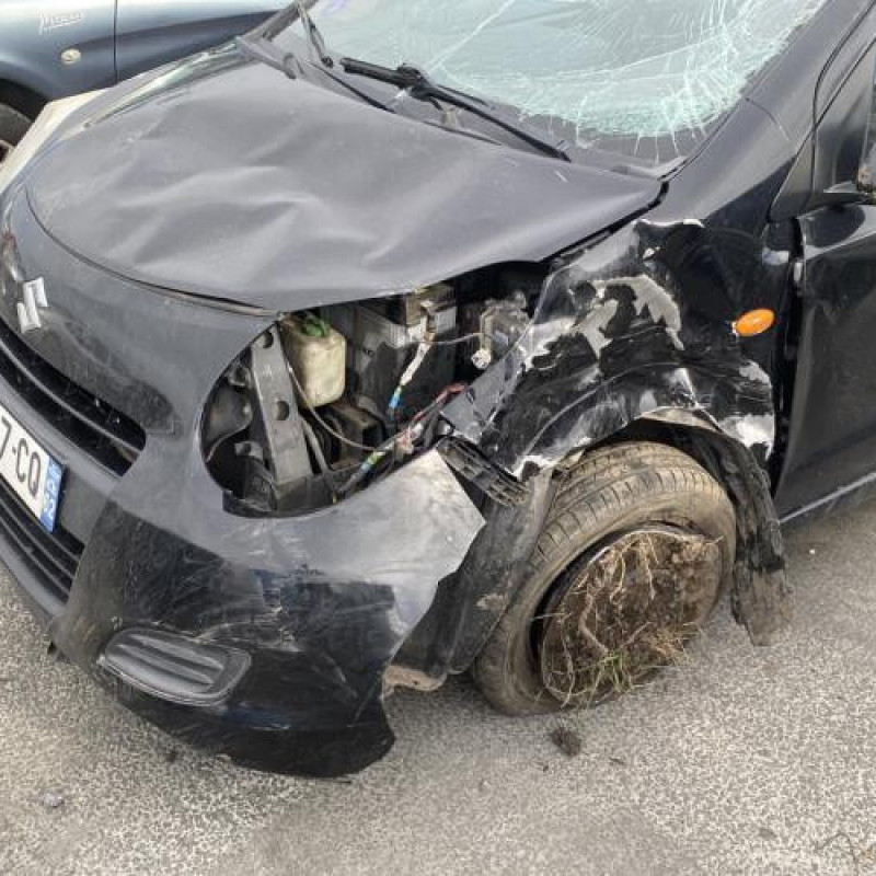 Porte arriere gauche SUZUKI ALTO 3 Photo n°11