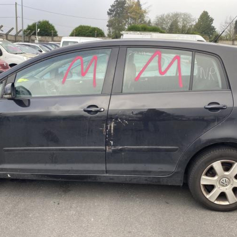 Porte avant droit VOLKSWAGEN GOLF PLUS Photo n°12