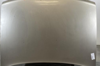 Capot PEUGEOT 405 Photo n°1
