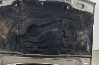 Capot PEUGEOT 405