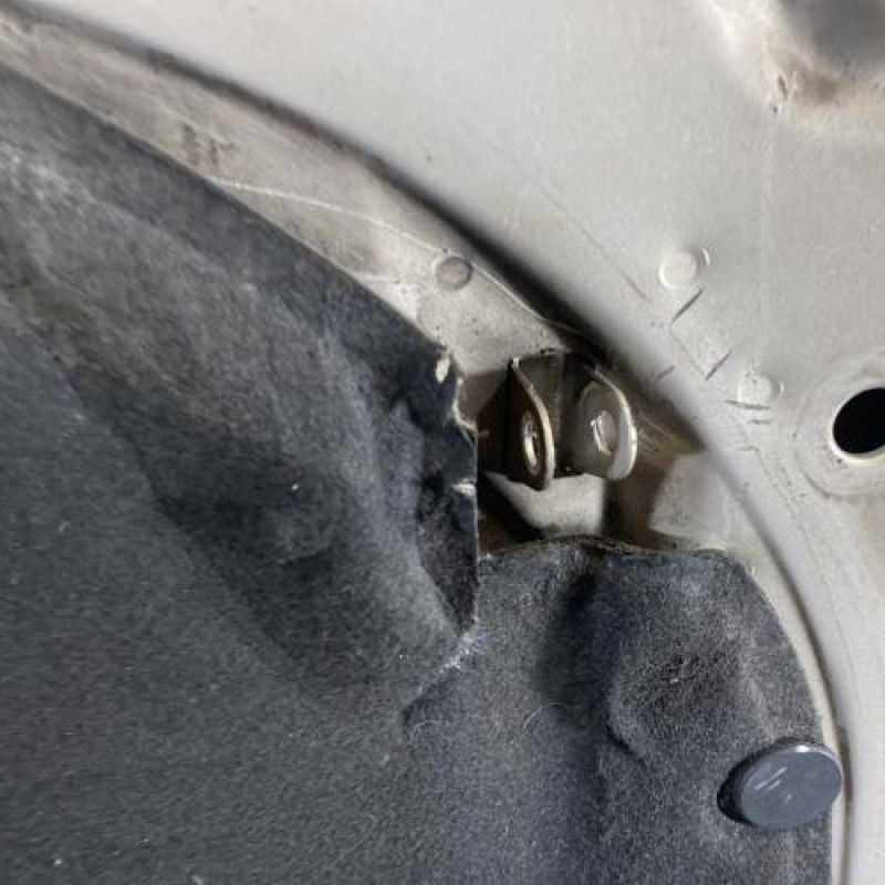 Capot AUDI A4 1 Photo n°9