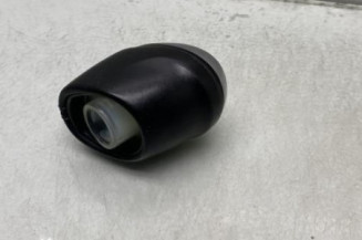 Pommeau de vitesses RENAULT SCENIC 4