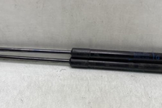 Verin de coffre RENAULT SCENIC 4
