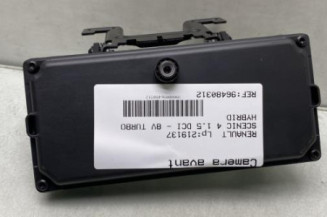 Camera RENAULT SCENIC 4