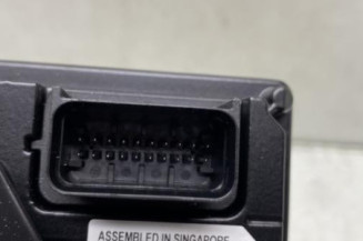 Camera RENAULT SCENIC 4