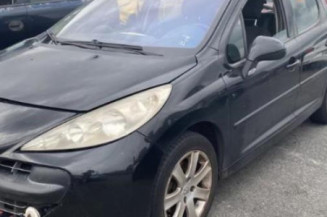 Porte arriere droit PEUGEOT 207