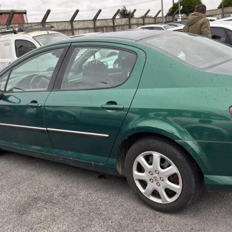 Porte arriere gauche PEUGEOT 407 Photo n°13