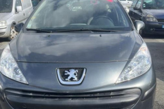 Porte arriere droit PEUGEOT 207