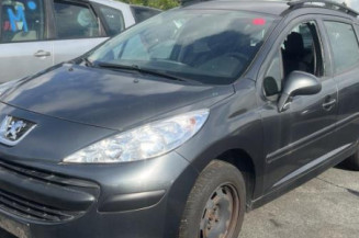Porte arriere droit PEUGEOT 207