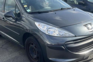 Porte arriere droit PEUGEOT 207