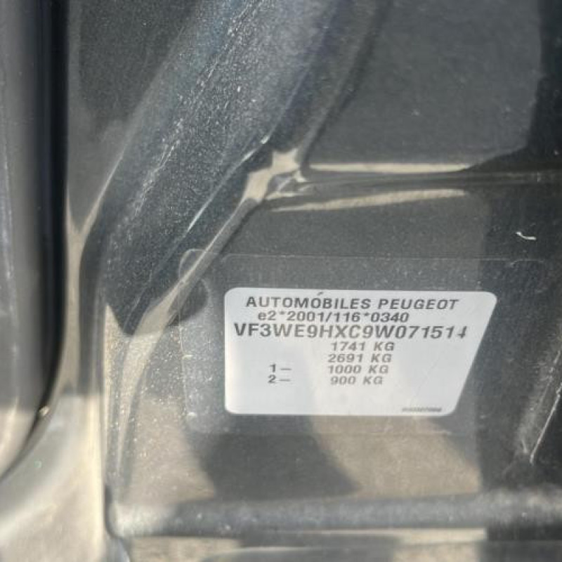 Porte arriere droit PEUGEOT 207 Photo n°14