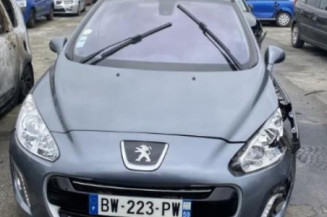 Custode avant gauche (porte) PEUGEOT 308 1