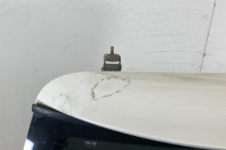 Malle/Hayon arriere MINI MINI 1 R50/R53