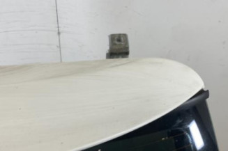 Malle/Hayon arriere MINI MINI 1 R50/R53