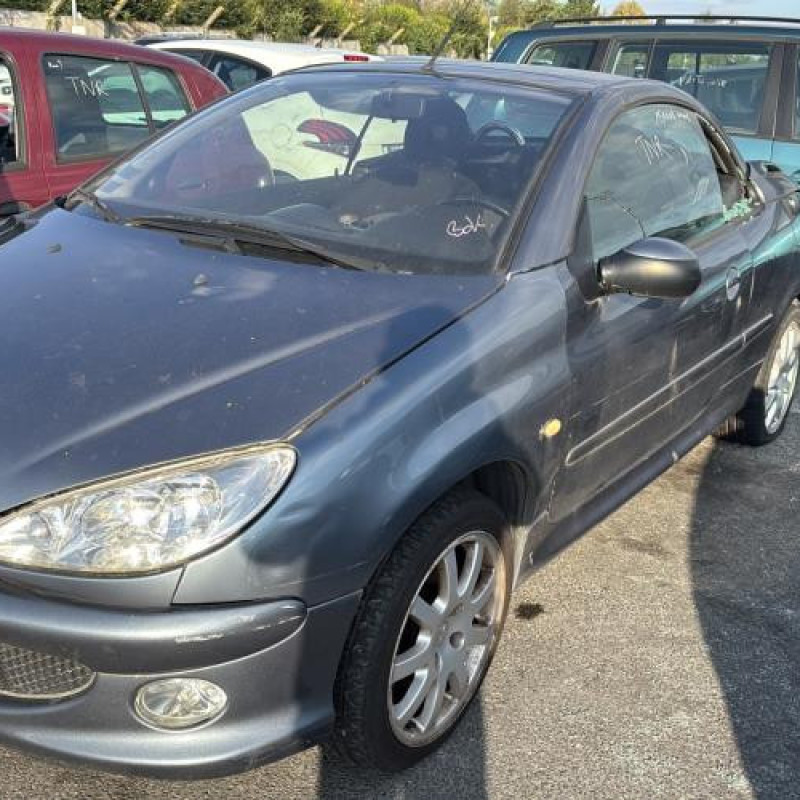 Porte avant droit PEUGEOT 206 Photo n°9