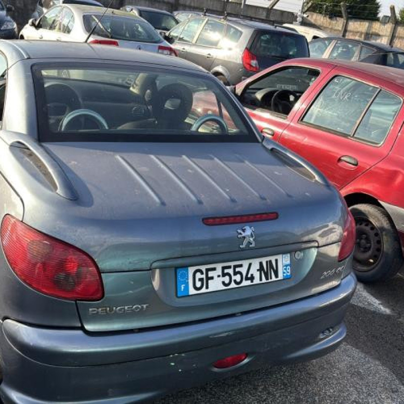 Porte avant droit PEUGEOT 206 Photo n°13