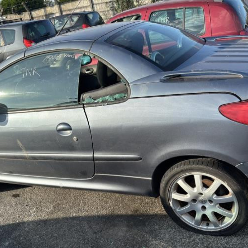 Porte avant droit PEUGEOT 206 Photo n°14